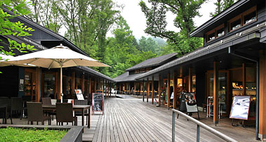 ハルニレテラス