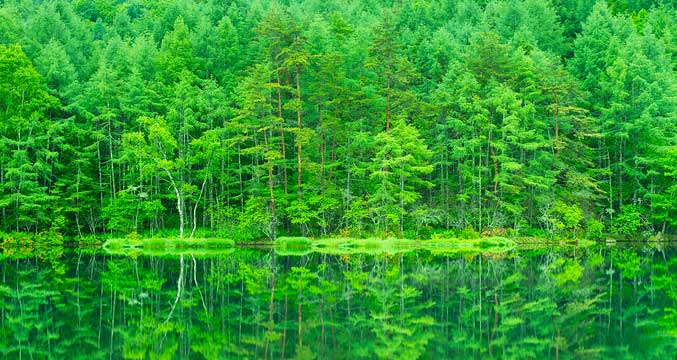 御射鹿池（みしゃかいけ）