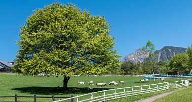 県立まきば公園