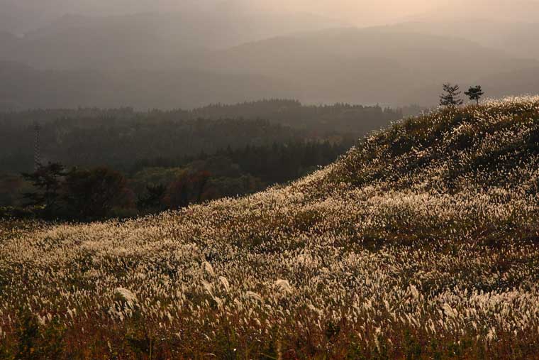 寒風山（かんぷうざん）