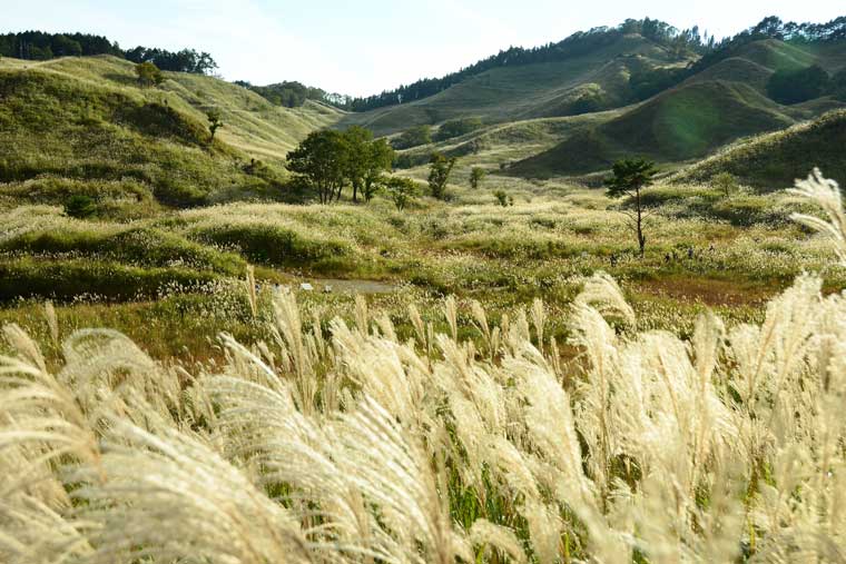 砥峰高原（とのみねこうげん）