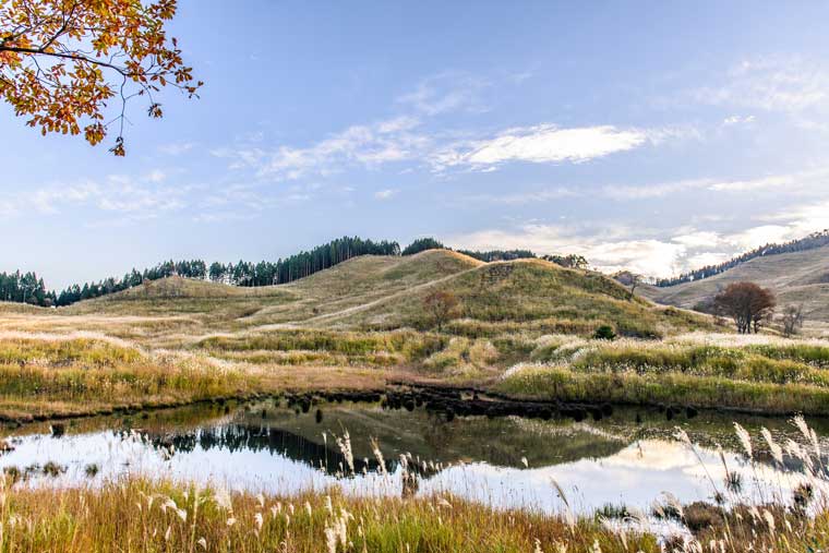 砥峰高原（とのみねこうげん）