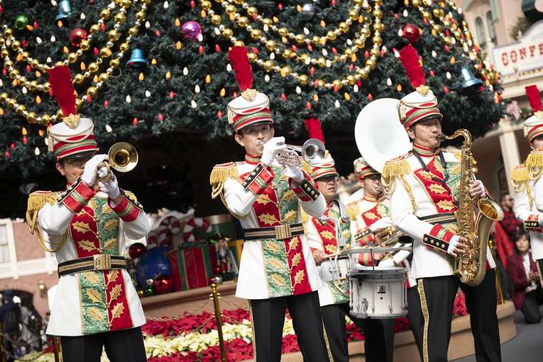 東京ディズニーランド　ディズニークリスマス 　ツリー