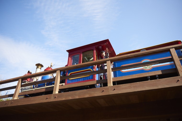 東京ディズニーランド　ディズニークリスマス ミッキー