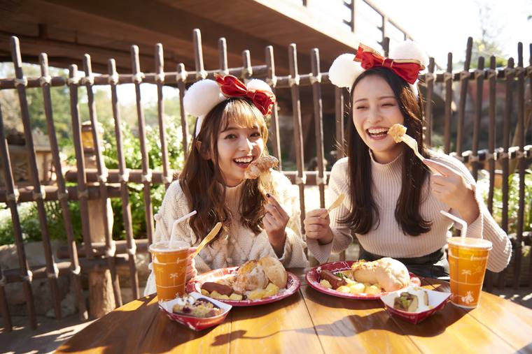 東京ディズニーランド　ディズニークリスマス