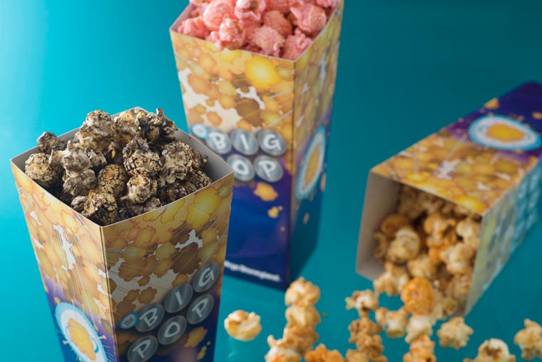 「ビッグポップ」