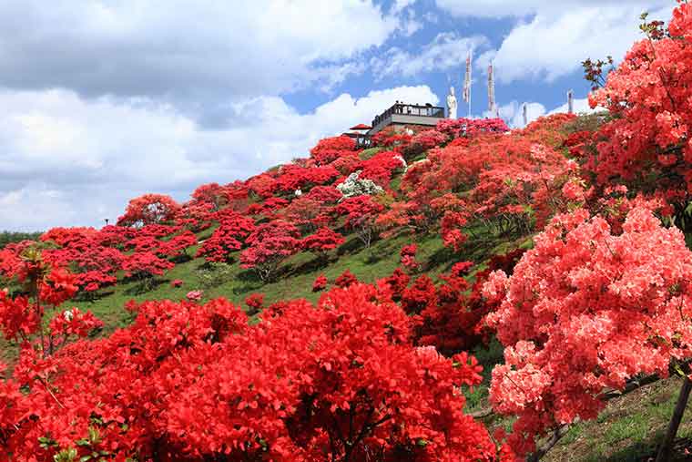 笠間つつじ公園