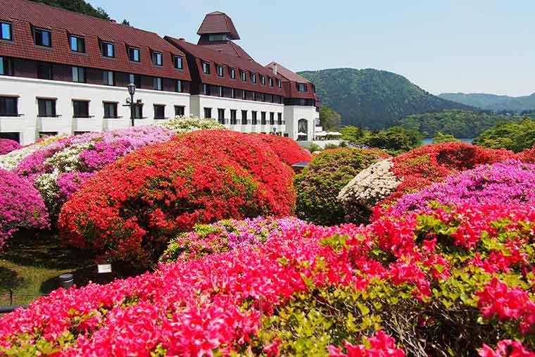 小田急 山のホテル庭園のつつじ