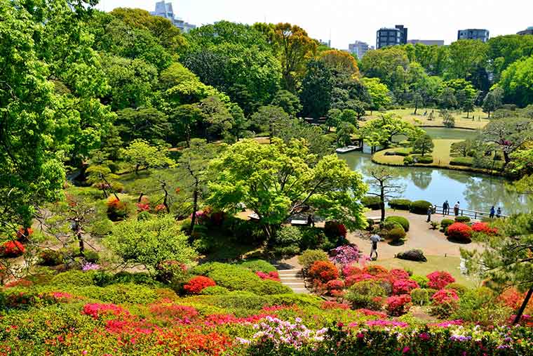 六義園のつつじ