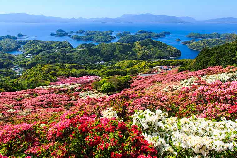 長串山のつつじ