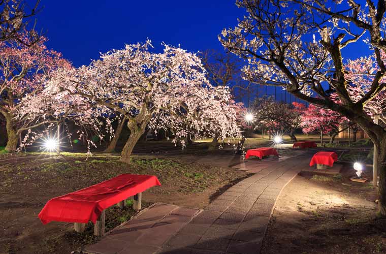富山県民会館分館 豪農の館 内山邸