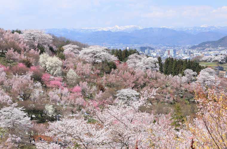 花見山公園