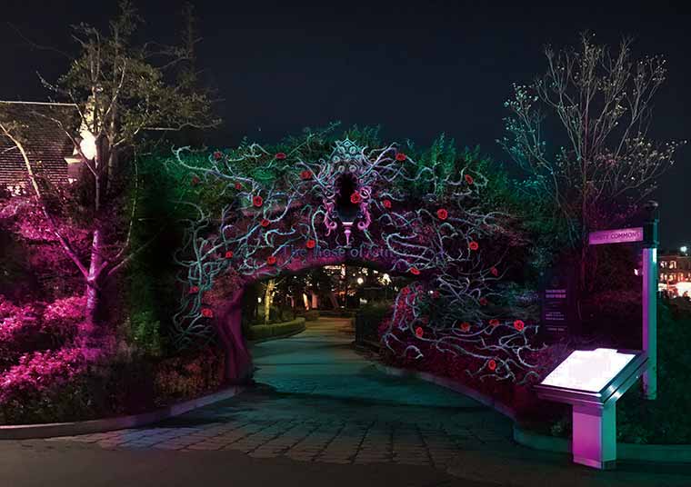 ユニバーサル・スタジオ・ジャパン「大人ハロウィーン」