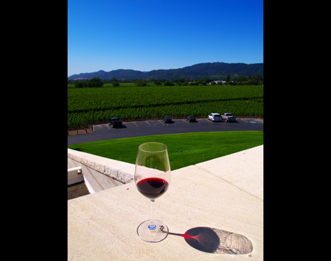 【アメリカ】ナパバレー