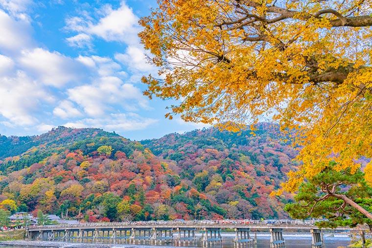 翠嵐ラグジュアリーコレクションホテル京都