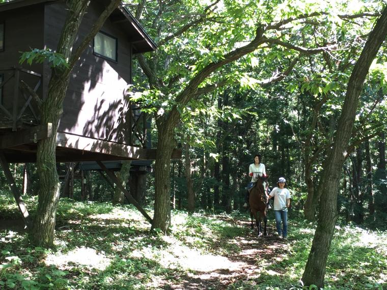 ブルームーンヒル