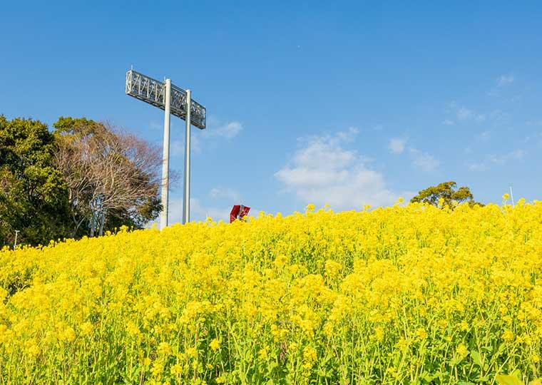 兵庫県神戸市  神戸総合運動公園