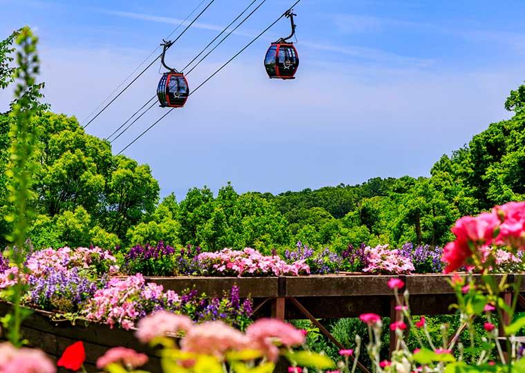 兵庫県神戸市  神戸布引ハーブ園