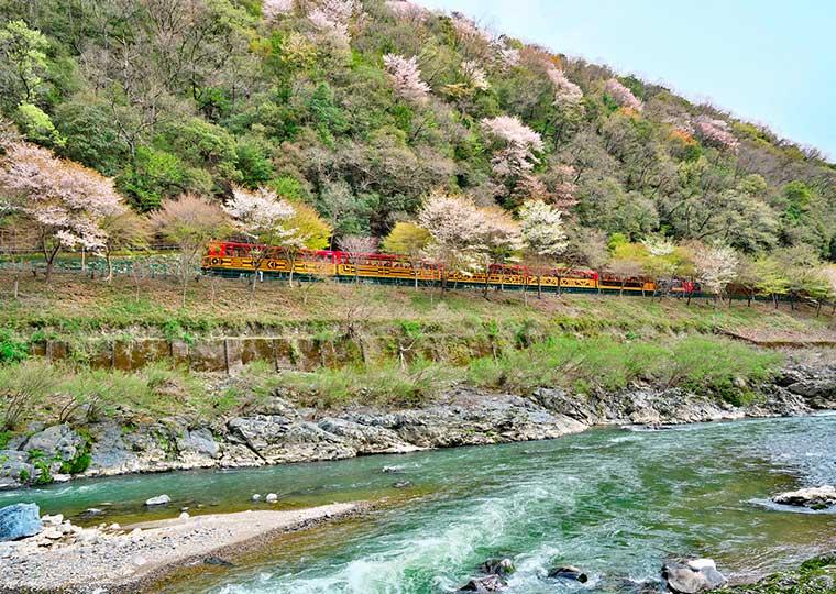 京都府京都市  嵯峨野トロッコ列車運転始動
