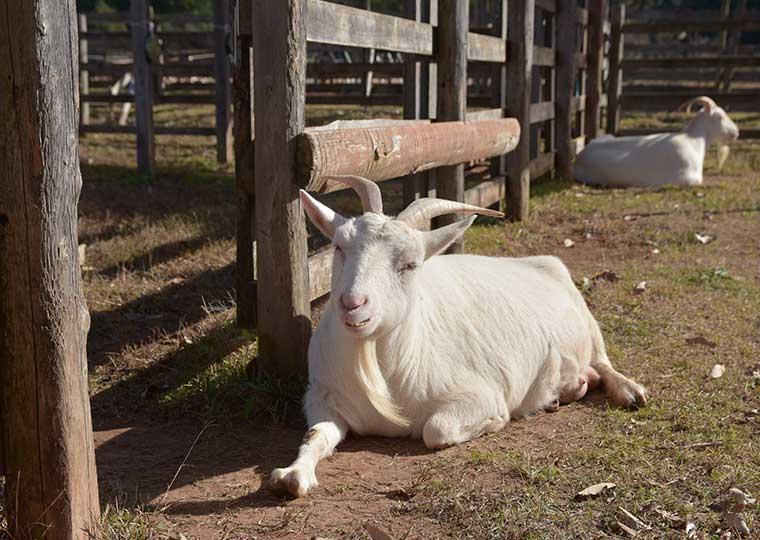フェアフィールド･バイ･マリオット･岐阜清流里山公園