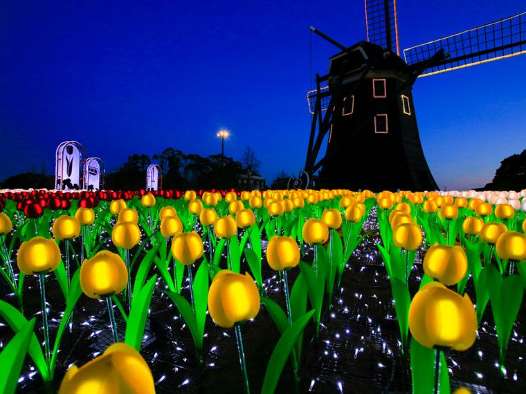 ハウステンボスフラワーフェスティバル2021　100万本のチューリップ祭り　イルミネーション