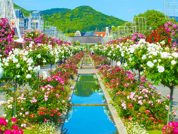 ハウステンボスフラワーフェスティバル2021　バラ祭り