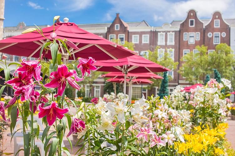 ハウステンボスフラワーフェスティバル2021　ゆり