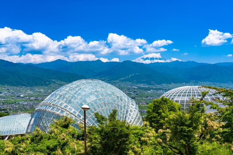 笛吹川フルーツ公園