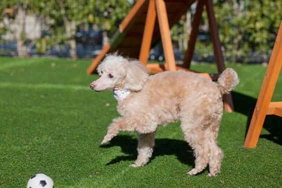 ホテル椿山荘東京