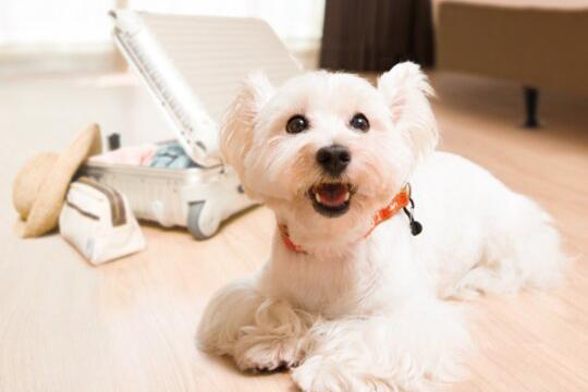 グランドプリンスホテル新高輪