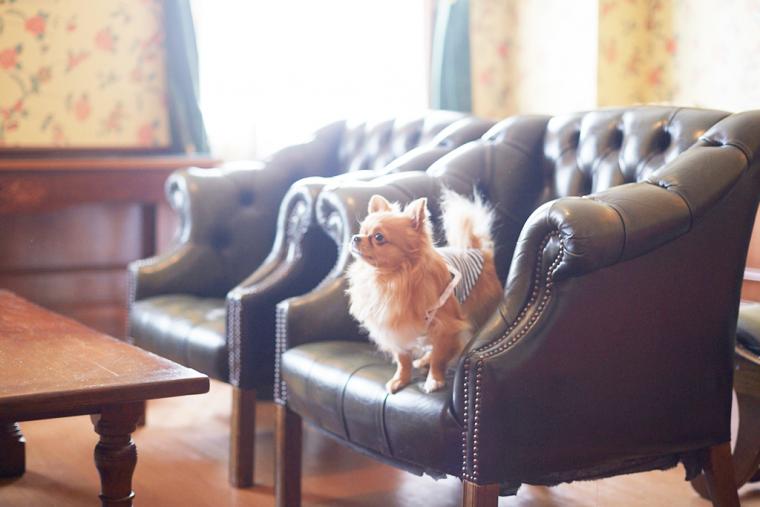 那須温泉　ウェルネスの森　那須