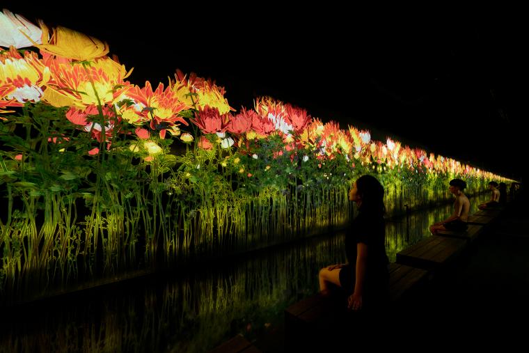 『降り注ぐ雨の中で増殖する無量の生命』