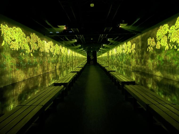 『降り注ぐ雨の中で増殖する無量の生命』