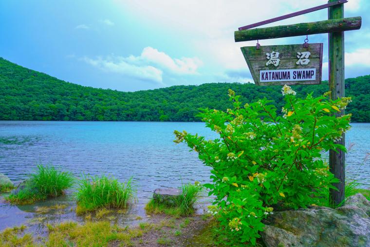 潟沼（かたぬま）