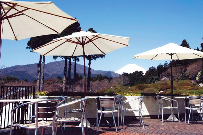 小田急　山のホテル