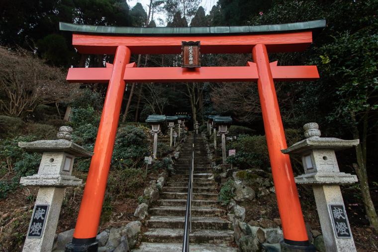 霧島ホテル　百年杉庭園