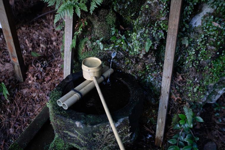 霧島ホテル　百年杉庭園