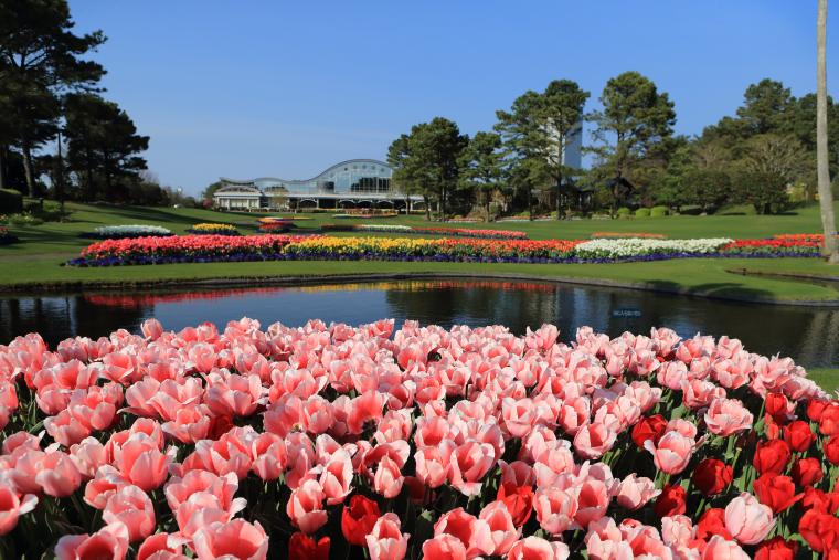 四季折々の花や緑が美しいフローランテ宮崎