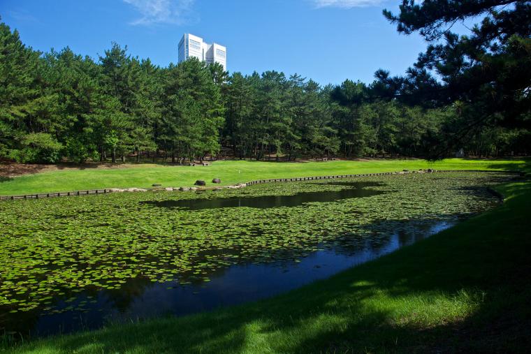 神話スポットも楽しめる阿波岐原森林公園
