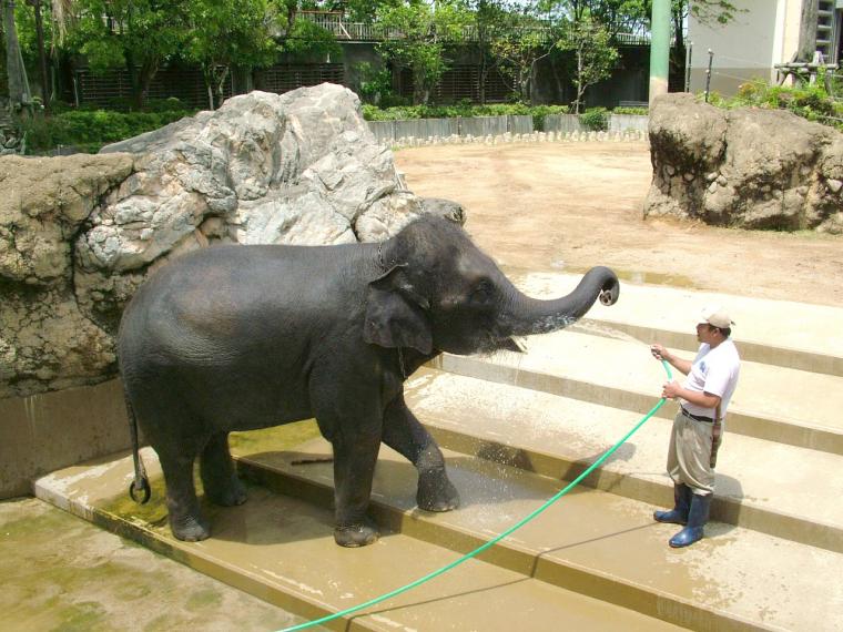 かわいい動物たちがお出迎え