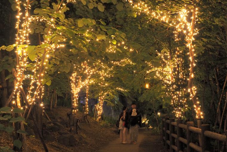 湯けむりルミナ