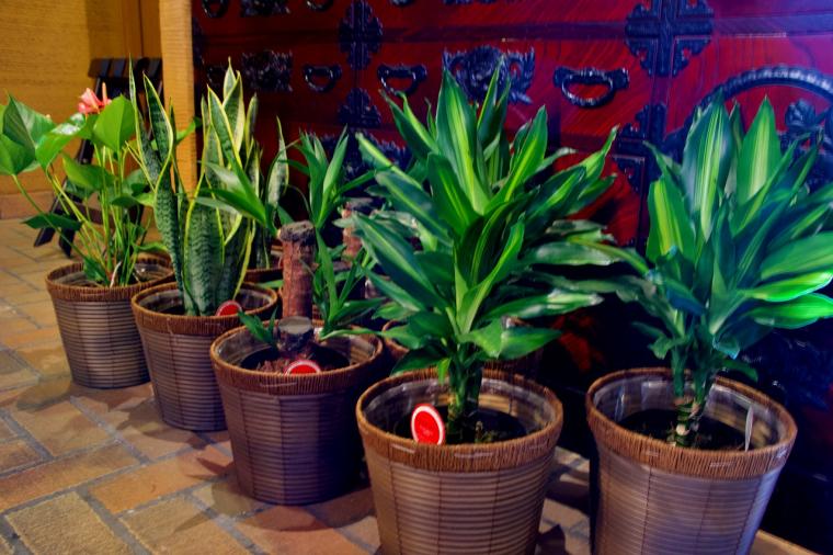 夢紡ぎの宿 ⽉の渚