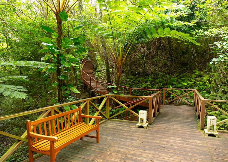 ジ・アッタテラス クラブタワーズ