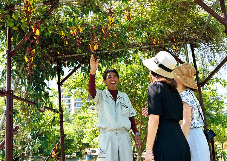 ジ・アッタテラス クラブタワーズ