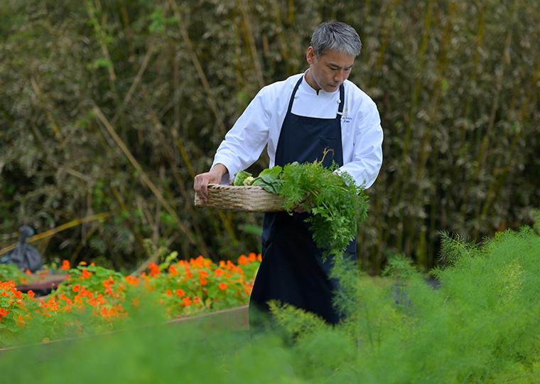 ジ・アッタテラス クラブタワーズ