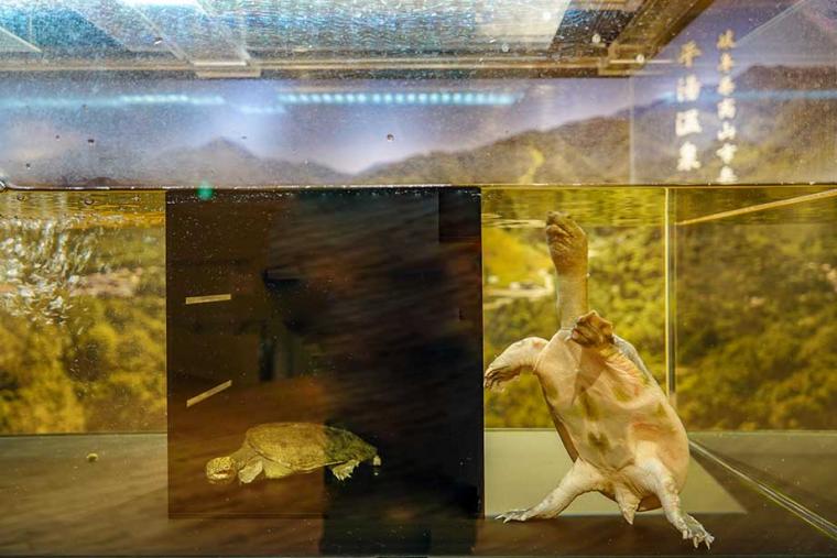 絶景と露天風呂のパラダイス！岐阜・奥飛騨温泉郷へ