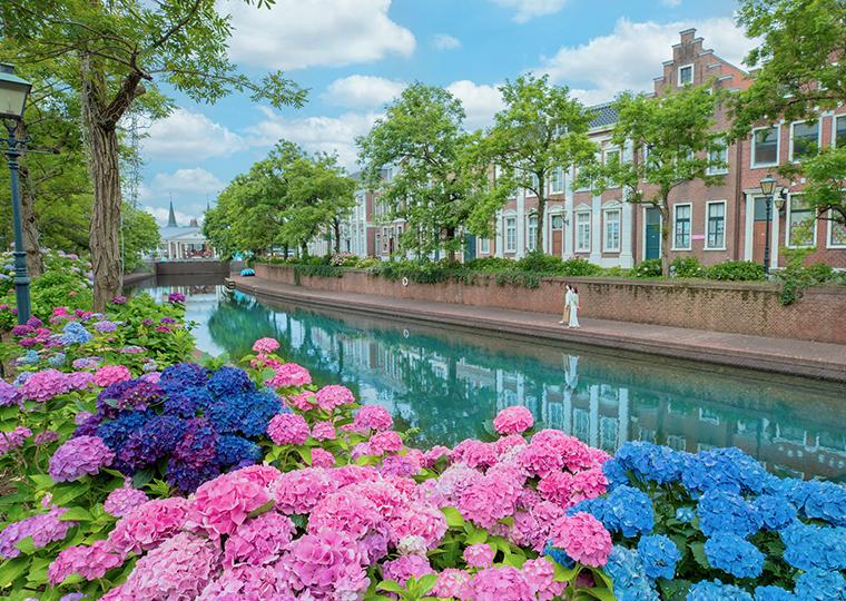 ハウステンボス　あじさい祭