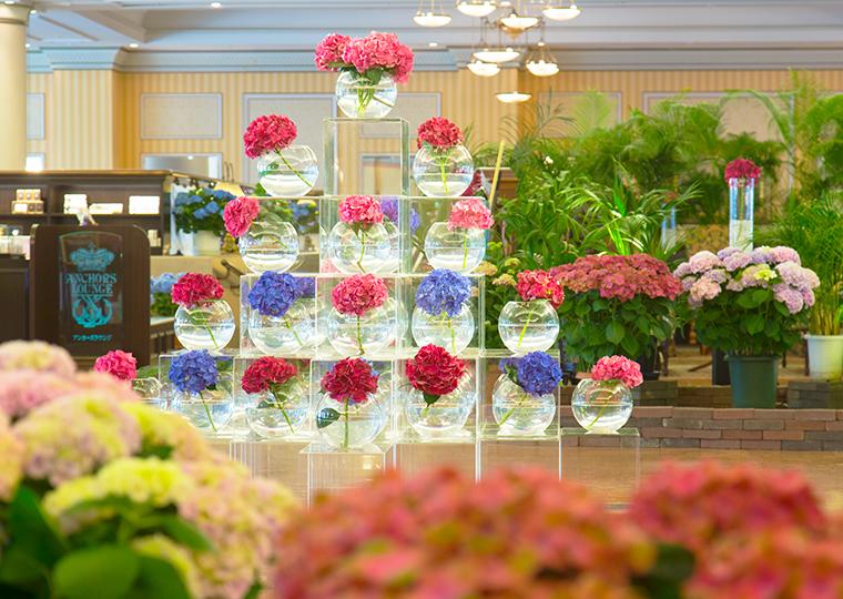 ハウステンボス　あじさい祭　ホテルヨーロッパ