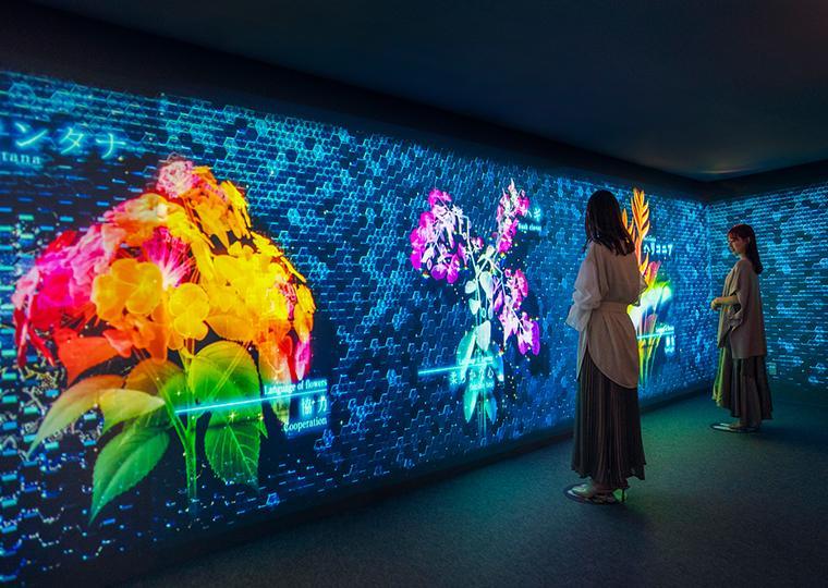 ハウステンボス　光のファンタジアシティ