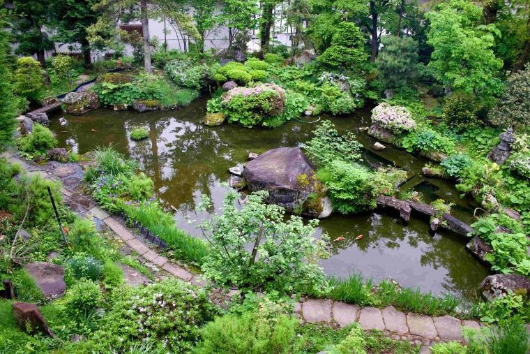 看板猫ランキング１位のハチは今日も元気120％でお客様をおもてなし！？